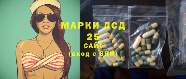 дурь Бородино
