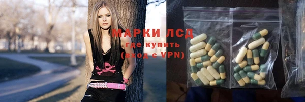 дурь Бородино