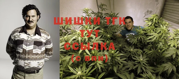дурь Бородино