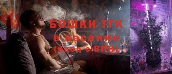 дурь Бородино