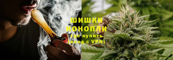 дурь Бородино