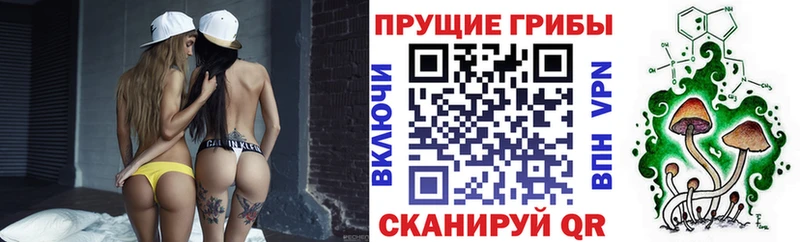 Псилоцибиновые грибы GOLDEN TEACHER  мега зеркало  Мензелинск 